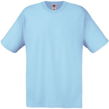 Textiel Heren T-shirts korte mouwen Fruit Of The Loom SS12 Blauw