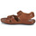 Schoenen Heren Sandalen / Open schoenen Pikolinos TARIFA 06J Camel