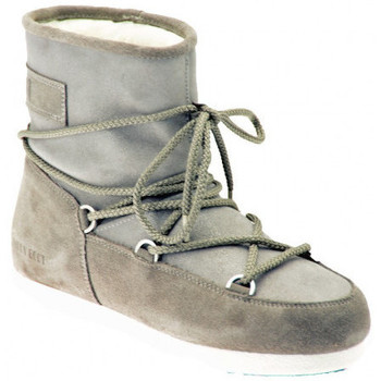 Schoenen Dames Sneakers Moon Boot F. SIDE SUEDE GL. Grijs
