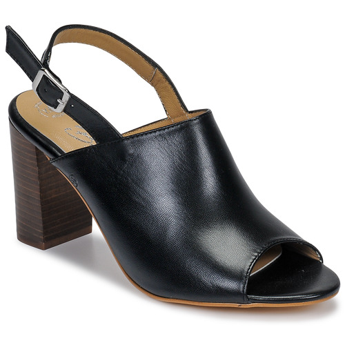 Schoenen Dames Sandalen / Open schoenen Betty London JIKOTEGE Zwart