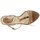 Schoenen Dames Sandalen / Open schoenen Etro 3443 Bruin