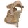 Schoenen Dames Sandalen / Open schoenen Michael Kors MK118113 Desert / Beige