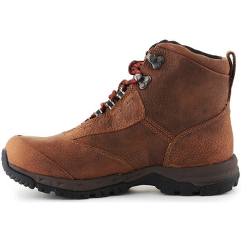 Ariat Trekking shoes  Berwick Lace Gtx Insulated 10016229 Bruin