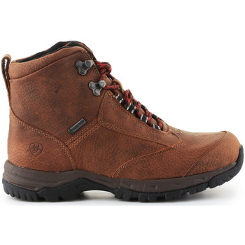 Ariat Trekking shoes  Berwick Lace Gtx Insulated 10016229 Bruin