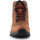 Schoenen Dames Wandelschoenen Ariat Trekking shoes  Berwick Lace Gtx Insulated 10016229 Bruin
