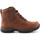 Schoenen Dames Wandelschoenen Ariat Trekking shoes  Berwick Lace Gtx Insulated 10016229 Bruin