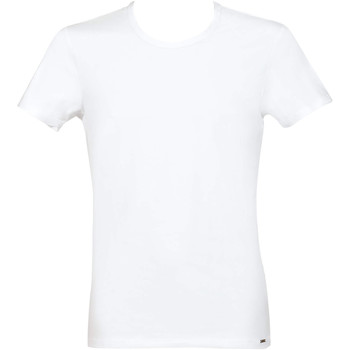 Textiel Heren T-shirts & Polo’s Lisca T-shirt Apolon Wit