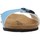 Schoenen Dames Sandalen / Open schoenen Antonio Miro 316601 Blauw