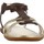Schoenen Dames Sandalen / Open schoenen Stonefly ALISYA 1 Bruin