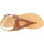 Schoenen Dames Sandalen / Open schoenen Attica Sandals ARTEMIS CALF DK-BROWN Bruin