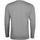 Textiel Heren Sweaters / Sweatshirts Sols SULLY CASUAL MEN Grijs