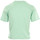 Textiel Dames T-shirts korte mouwen Fila Viivika Cropped Tee Wn's Groen