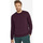 Textiel Sweaters / Sweatshirts Sols NEW SUPREME COLORS DAY Violet
