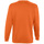 Textiel Sweaters / Sweatshirts Sols NEW SUPREME COLORS DAY Oranje