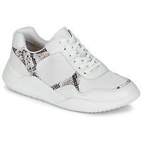 Schoenen Dames Lage sneakers Clarks SIFT LACE Wit / Python