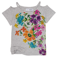 Textiel Meisjes T-shirts korte mouwen Desigual EDIMBURGO Multicolour