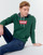 Textiel Heren Sweaters / Sweatshirts Levi's MODERN HM HOODIE Groen / Grijs
