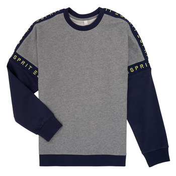 Textiel Meisjes Sweaters / Sweatshirts Esprit ELISEE Grijs
