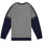 Textiel Meisjes Sweaters / Sweatshirts Esprit ELISEE Grijs
