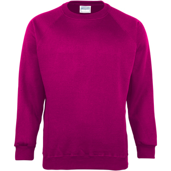 Textiel Kinderen Sweaters / Sweatshirts Maddins  Multicolour