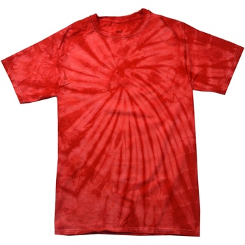 Textiel Kinderen T-shirts korte mouwen Colortone Spider Rood