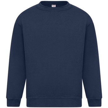 Textiel Heren Sweaters / Sweatshirts Absolute Apparel Sterling Blauw
