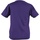 Textiel Kinderen T-shirts korte mouwen Awdis JC01J Violet