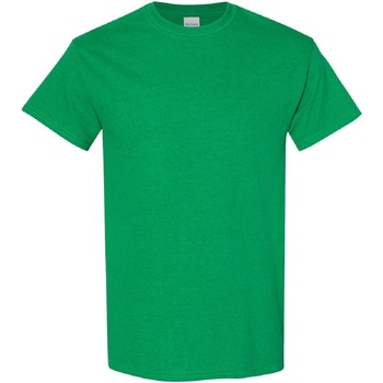 Textiel Heren T-shirts korte mouwen Gildan Heavy Groen