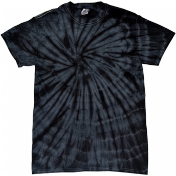 Textiel Heren T-shirts met lange mouwen Colortone Tonal Zwart