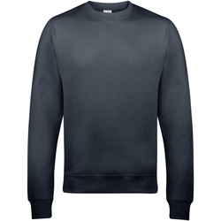 Textiel Sweaters / Sweatshirts Awdis JH030 Grijs