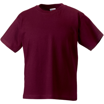 Textiel Kinderen T-shirts korte mouwen Jerzees Schoolgear ZT180B Multicolour