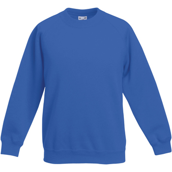 Textiel Kinderen Sweaters / Sweatshirts Fruit Of The Loom 62039 Multicolour