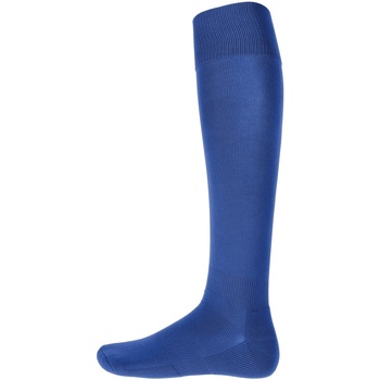 Ondergoed Heren Sokken Kariban Proact PA016 Blauw