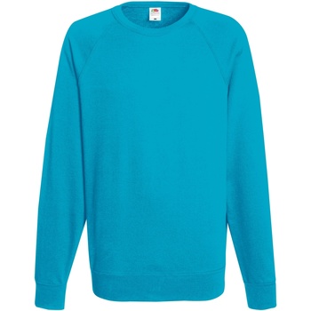 Textiel Heren Sweaters / Sweatshirts Fruit Of The Loom 62138 Multicolour