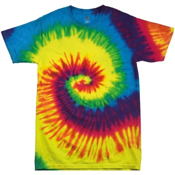 Textiel Kinderen T-shirts korte mouwen Colortone TD02B Multicolour