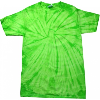 Textiel Heren T-shirts met lange mouwen Colortone Tonal Groen