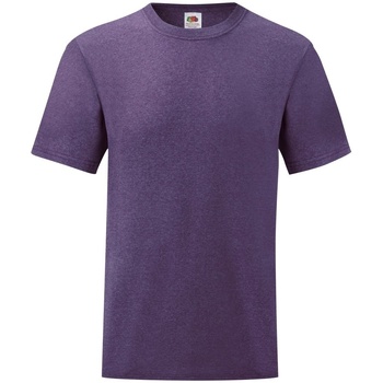 Textiel Heren T-shirts korte mouwen Fruit Of The Loom 61036 Violet