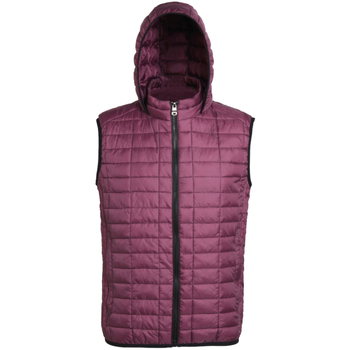 Textiel Dames Wind jackets 2786 TS24F Violet