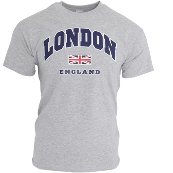 Textiel Heren T-shirts korte mouwen England  Grijs