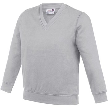 Textiel Kinderen Sweaters / Sweatshirts Awdis  Grijs