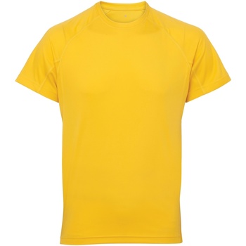 Textiel Heren T-shirts korte mouwen Tridri TR011 Multicolour
