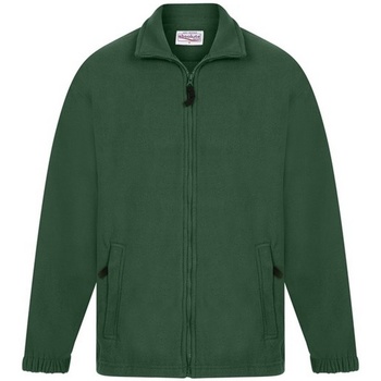 Textiel Heren Sweaters / Sweatshirts Absolute Apparel  Groen