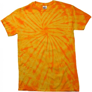 Textiel Kinderen T-shirts korte mouwen Colortone Spider Multicolour