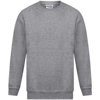Textiel Heren Sweaters / Sweatshirts Absolute Apparel Magnum Grijs