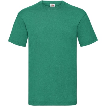 Textiel Heren T-shirts korte mouwen Fruit Of The Loom 61036 Groen