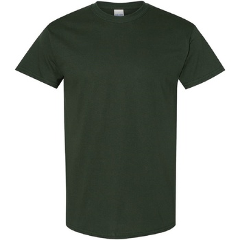 Textiel Heren T-shirts korte mouwen Gildan Heavy Groen