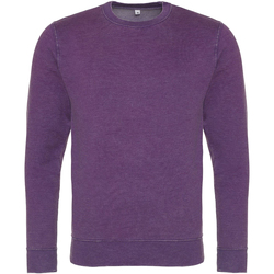 Textiel Heren Sweaters / Sweatshirts Awdis Washed Look Violet