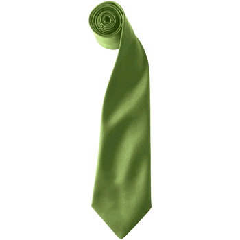 Textiel Heren Stropdassen en accessoires Premier  Groen