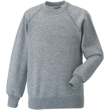 Textiel Kinderen Sweaters / Sweatshirts Jerzees Schoolgear 7620B Grijs