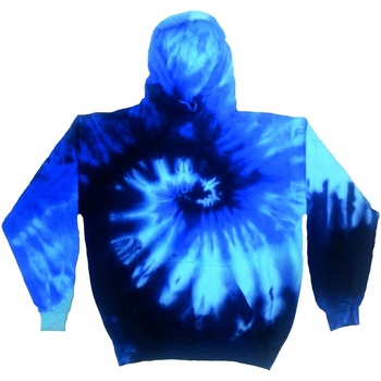 Textiel Sweaters / Sweatshirts Colortone TD31M Blauw